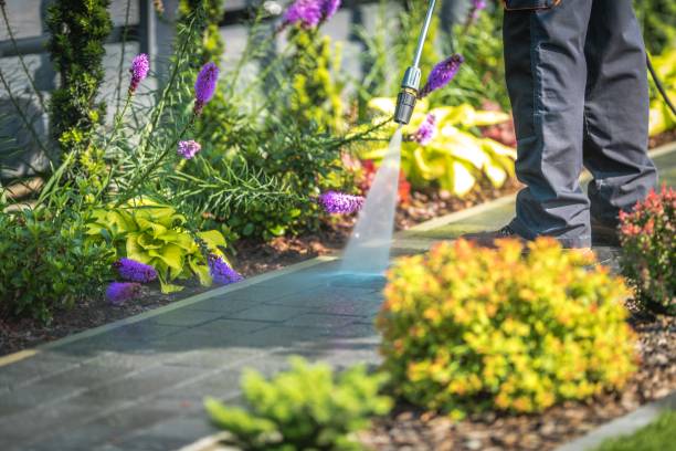 Best Patio and Deck Pressure Washing  in Fairhope, PA